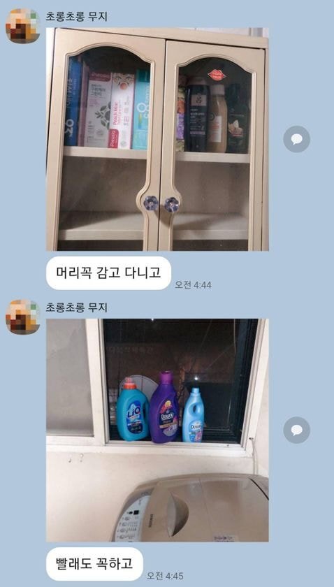 나없는 사이 친구가 내 자취방에 사고침 | 인스티즈