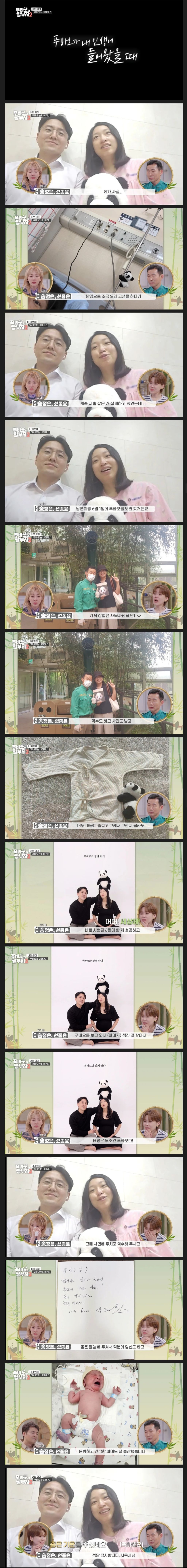 푸바오에 몰입하게 된 사연들 | 인스티즈