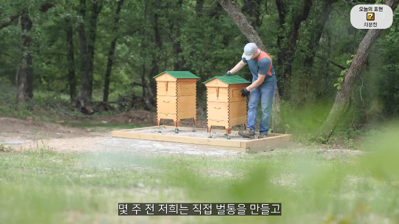 양봉 시작한 올리버쌤 근황.jpg | 인스티즈