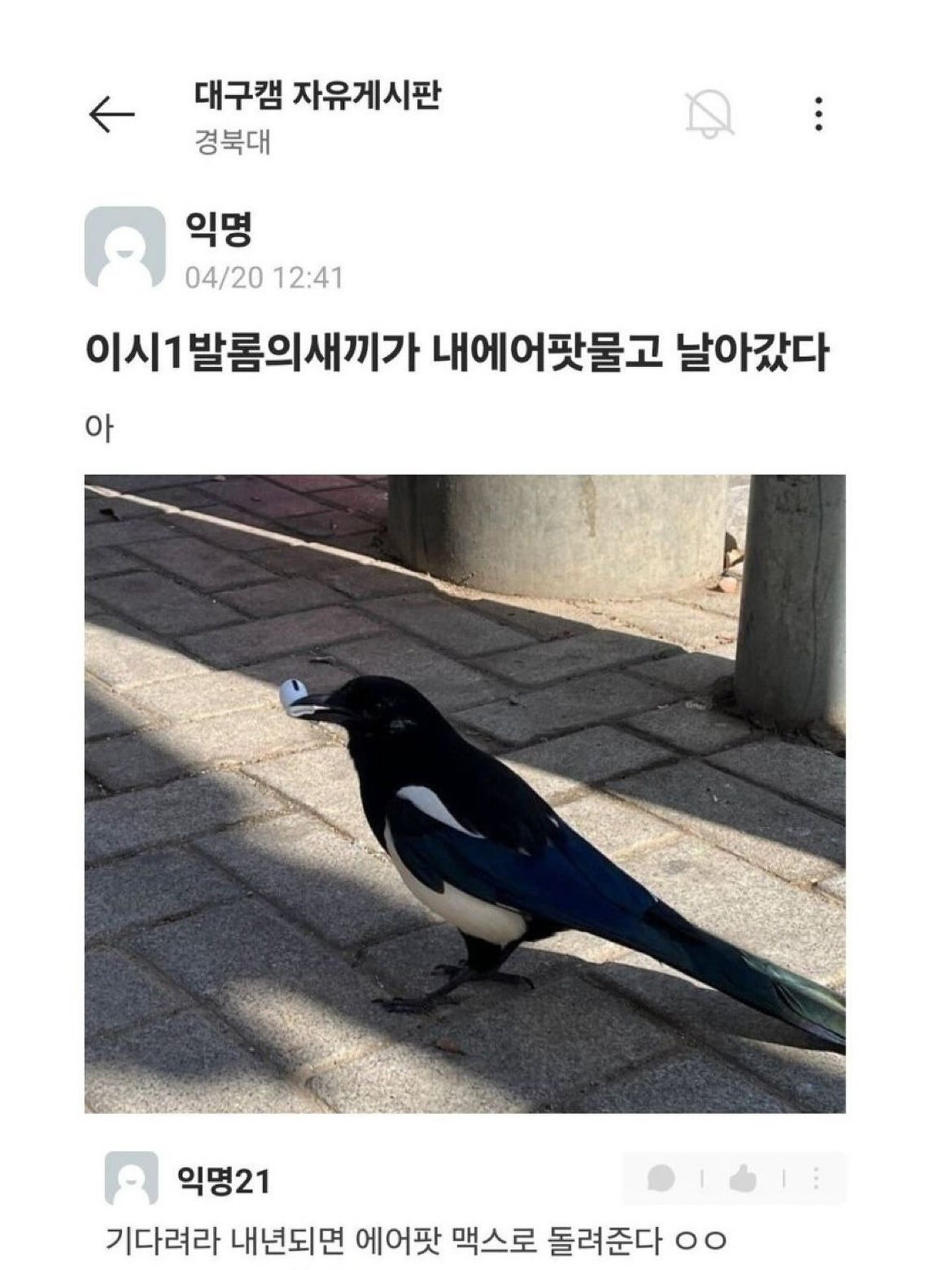 경북대 은혜갚을 까치 | 인스티즈