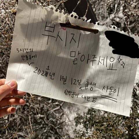 눈사람 논란에 대한 심리학자의 의견 | 인스티즈