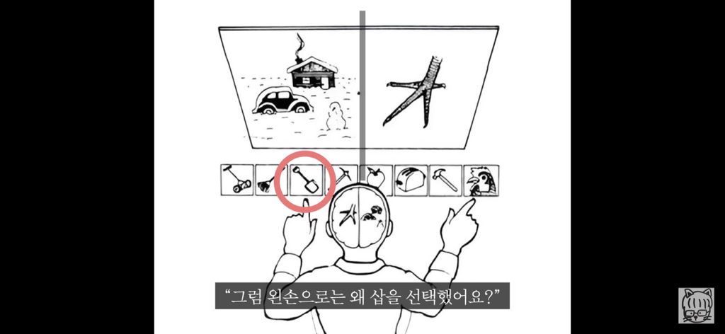 (스압)분리 뇌 실험 | 인스티즈