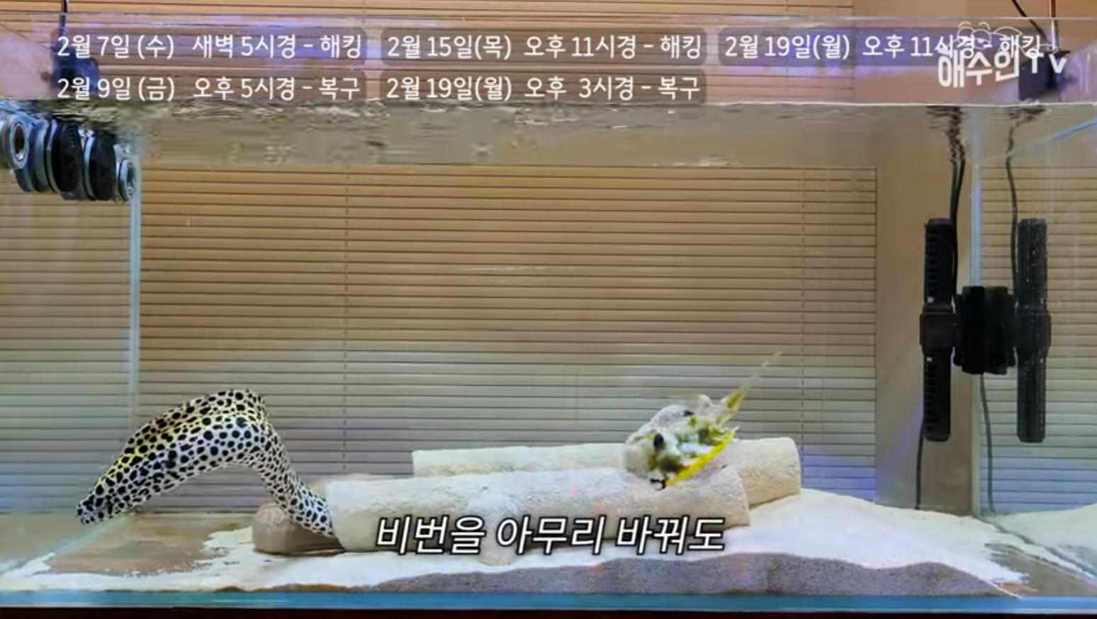 유튜브 계정이 3번이나 해킹 당한 이유 | 인스티즈