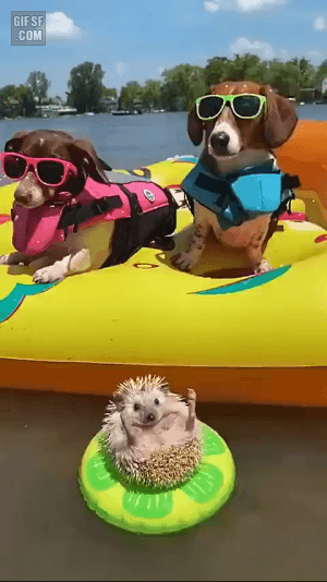 물놀이하는 칭구들 | 인스티즈