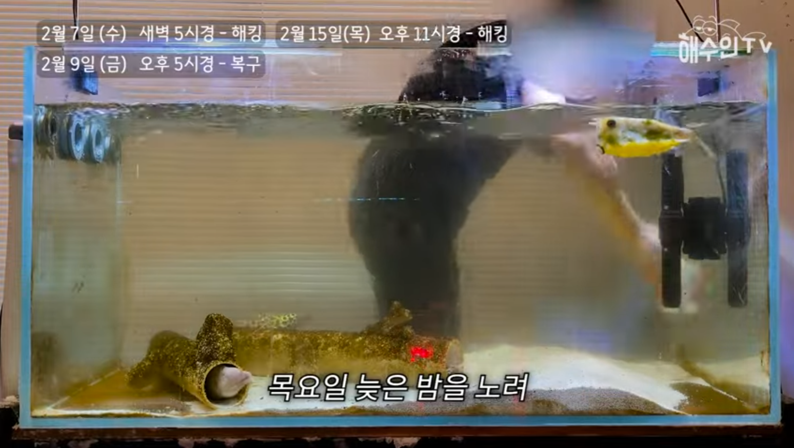 유튜브 계정이 3번이나 해킹 당한 이유 | 인스티즈