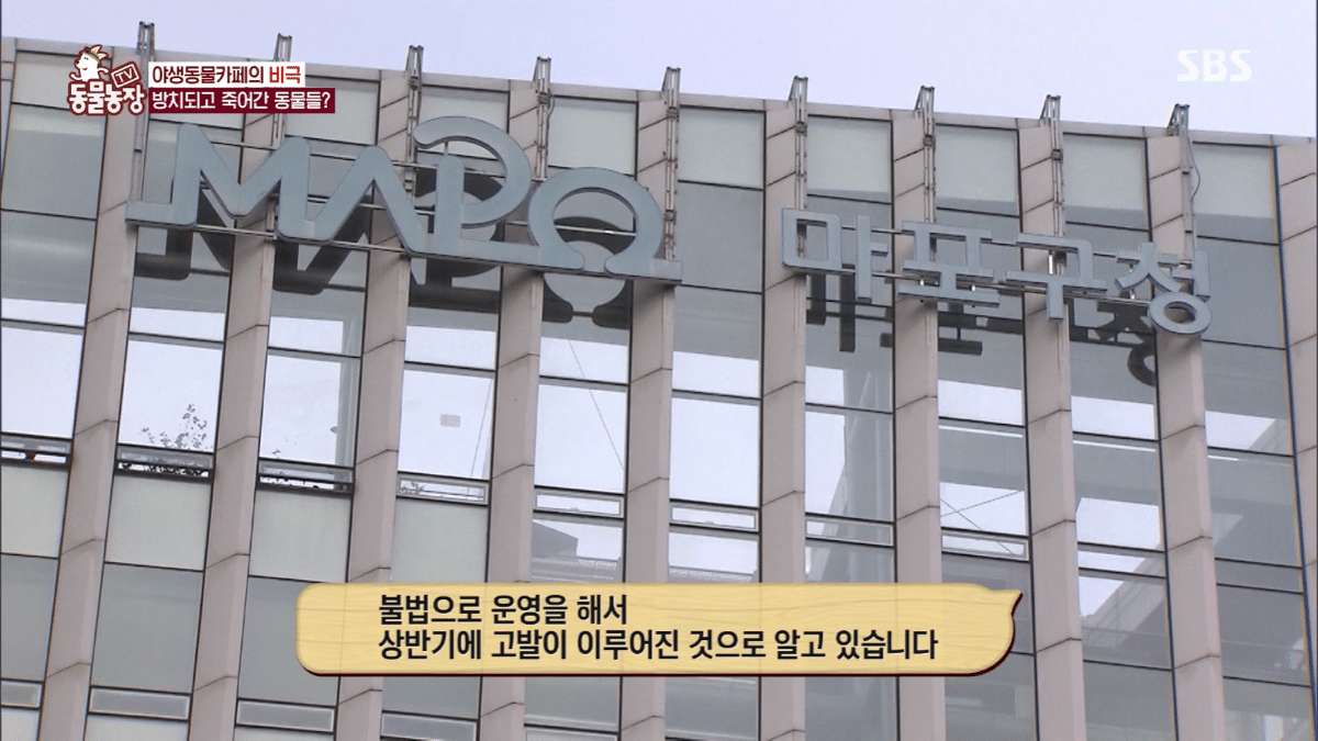 현재 난리난 동물농장에 나온 동물카페 사장.jpg | 인스티즈