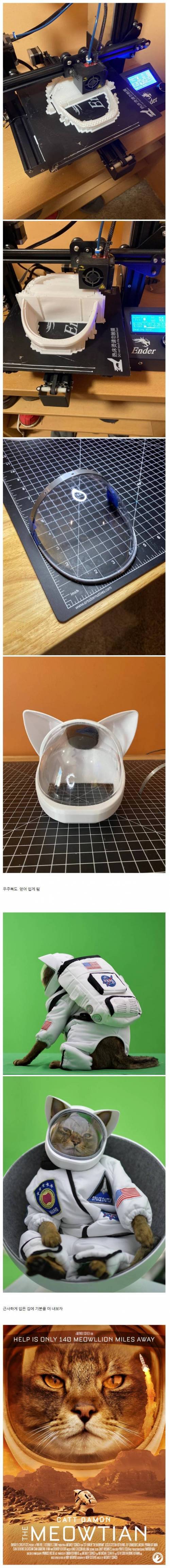 금손 집사와 사는 고양이 .jpg | 인스티즈