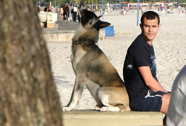 강아지가 주인을 정말 신뢰하고 있을때 보이는 행동.jpg | 인스티즈