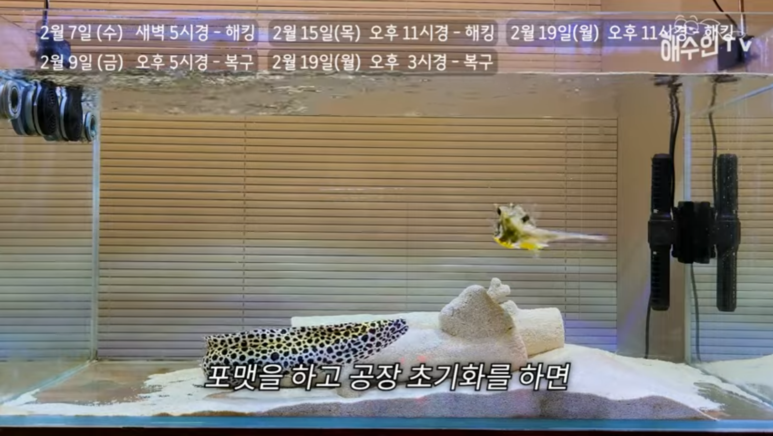 유튜브 계정이 3번이나 해킹 당한 이유 | 인스티즈