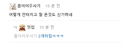 쿠팡 배송 상태 레전드네 | 인스티즈