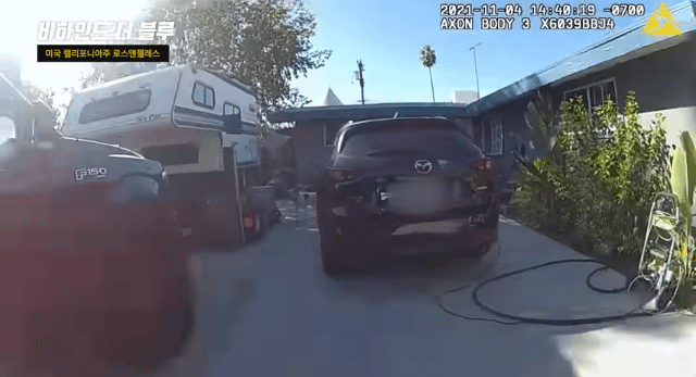 핏불이 사람 위협..빈백 샷건 갈겨버린 미국 경찰 | 인스티즈