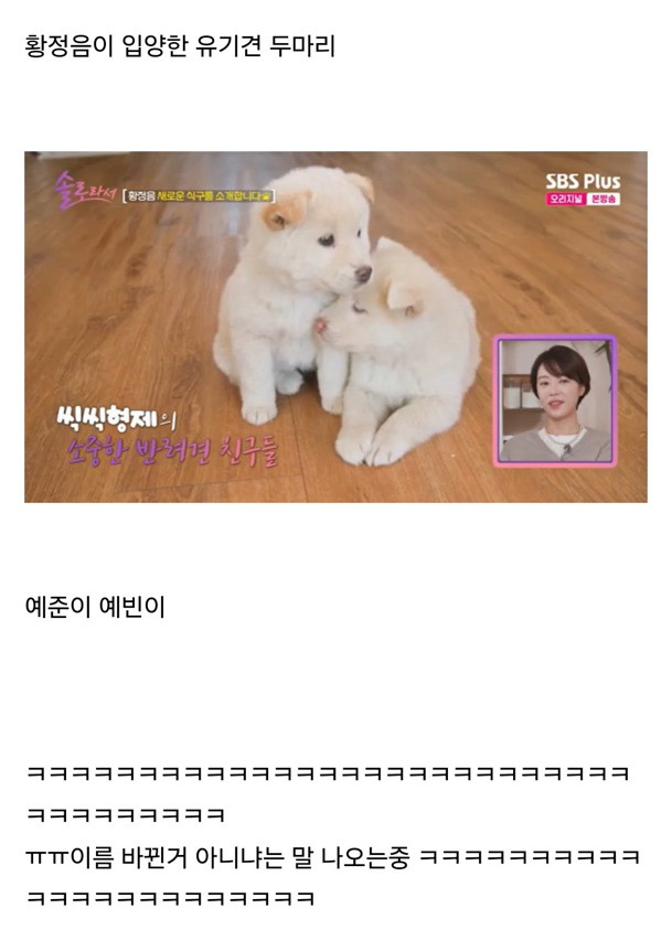 황정음 최대 의문점 | 인스티즈