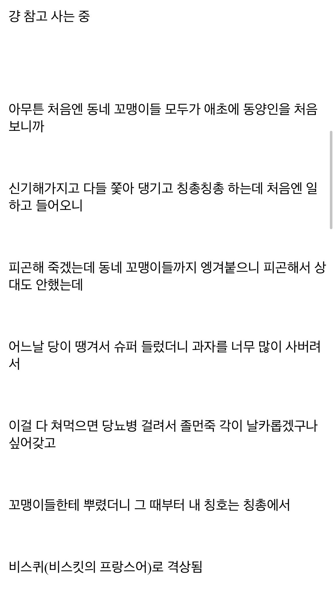 코트디부아르 디시인의 정착기 레전드 썰.jpg | 인스티즈