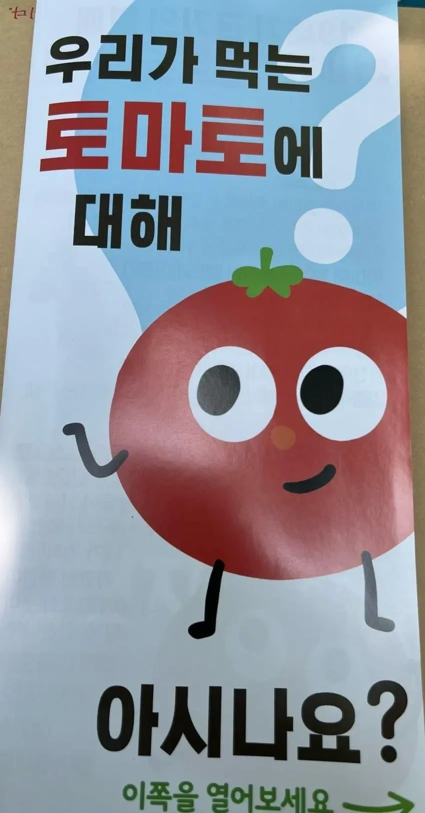 우리가 먹는 토마토에 대해 아시나요? | 인스티즈