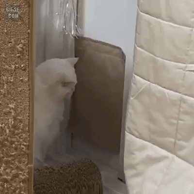 술먹고 늦게들어오는 남편과 안자고 기다린 와이프 | 인스티즈