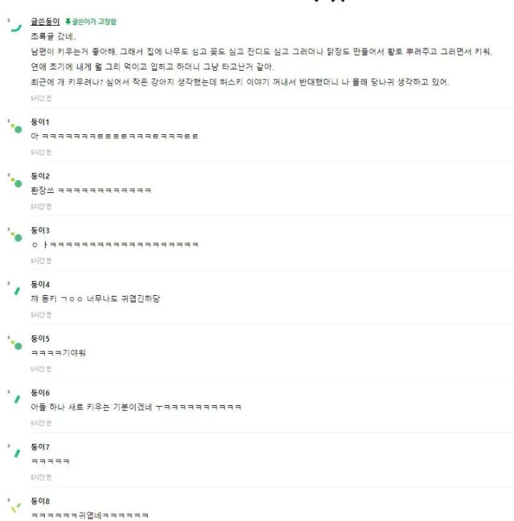 키우는거 좋아하는 남편 | 인스티즈