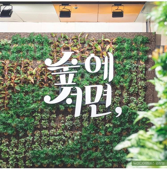 공기 개선을 위해 지하도를 숲으로 만든 부산시.jpg | 인스티즈