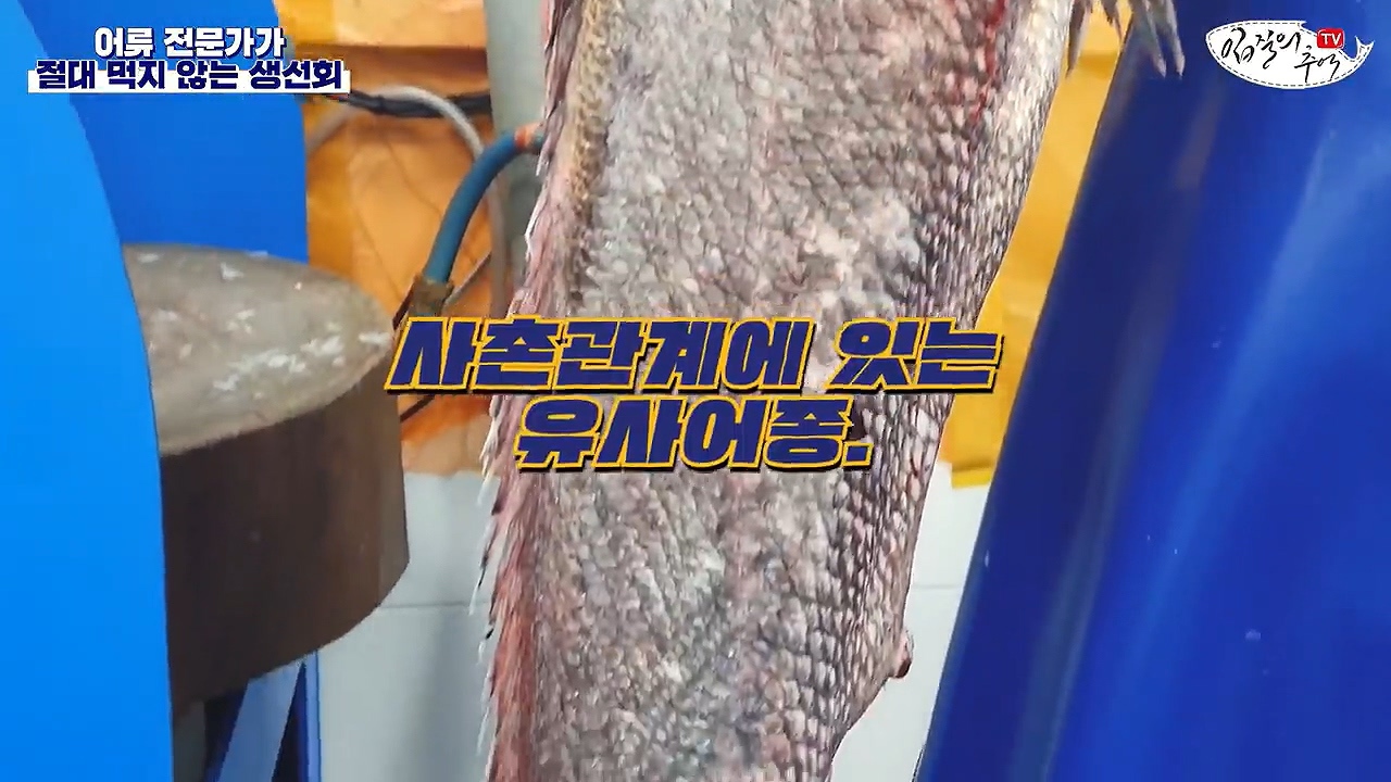 어류 전문가가 꼽은 절대 먹지 않는 생선회 7개 | 인스티즈