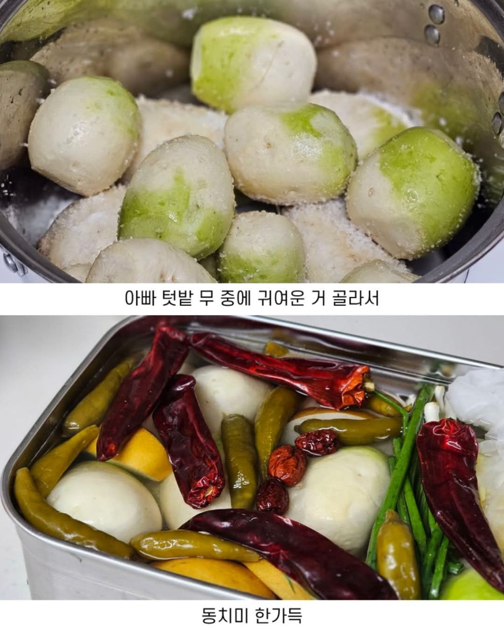 손이 엄청 큰 사람 | 인스티즈