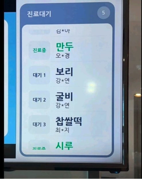 흔한 동물 병원 진료 대기 명단 | 인스티즈