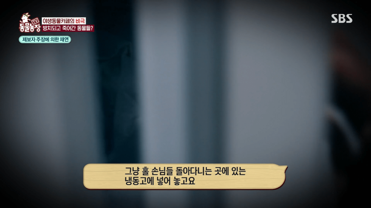 현재 난리난 동물농장에 나온 동물카페 사장.jpg | 인스티즈