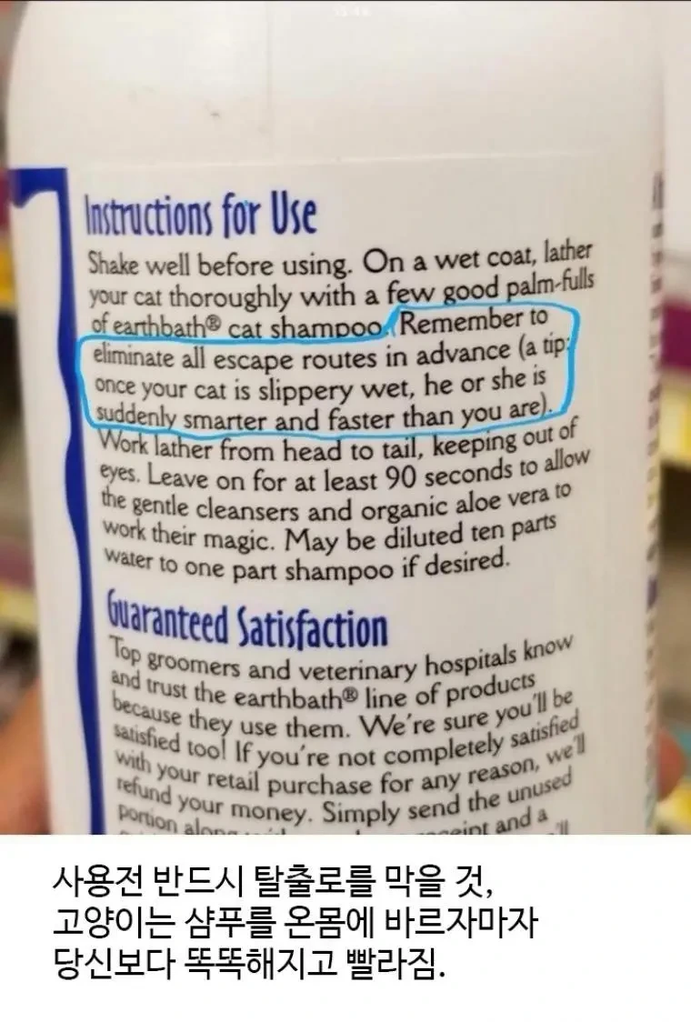 고양이샴푸 사용시 주의사항 | 인스티즈