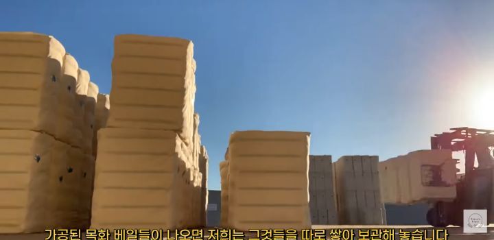 만 19살, 호주 워홀 가서 지게차로 월 500 번 유튜버 | 인스티즈