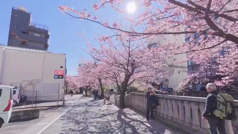 어제자 일본 시즈오카현 아타미시 풍경 | 인스티즈