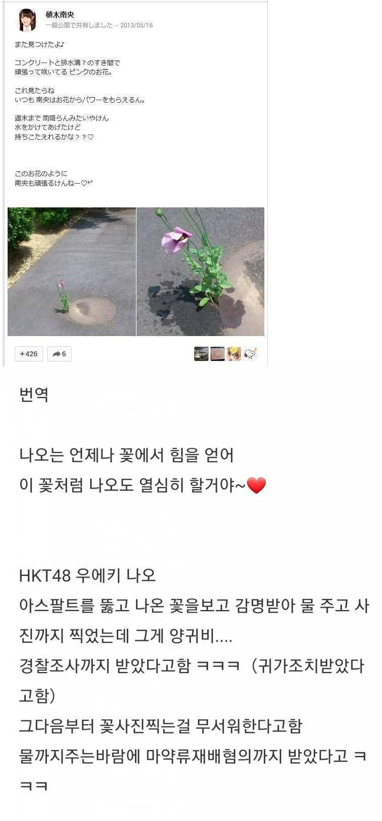 길바닥 꽃에 물 줬다가 경찰조사 받았다는 일본아이돌 | 인스티즈