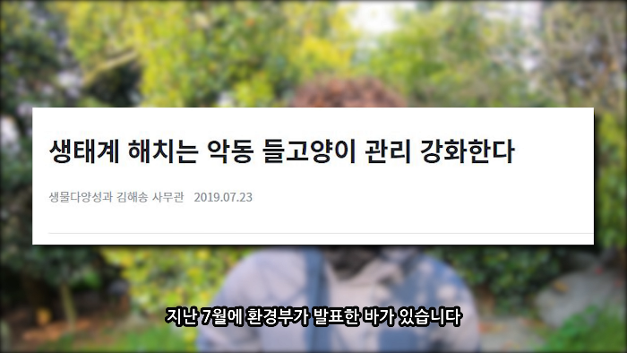 [사진100장스압] 고양이가 자연생태계에 끼치는 심각한 영향 | 인스티즈