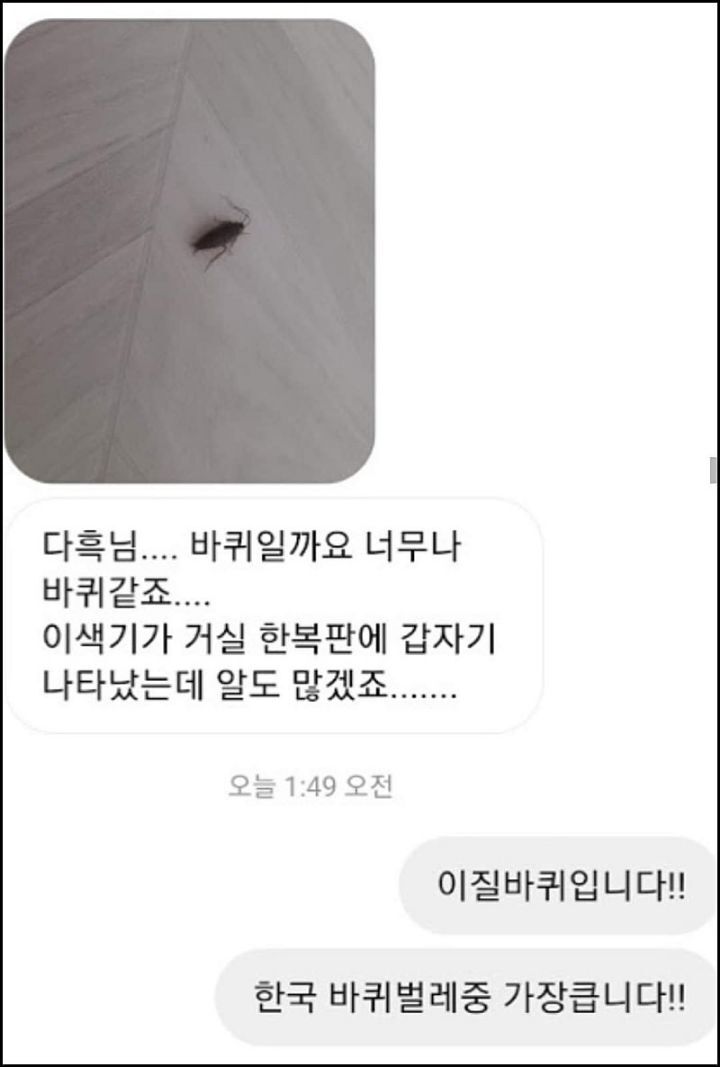 모르는게 없는 유튜버ㅋㅋㅋㅋㅋㅋ.jpg | 인스티즈