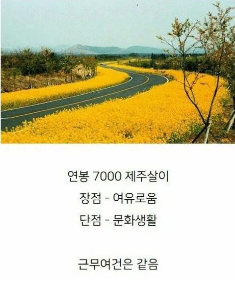 연봉 5천 서울살이vs연봉 7천 제주살이 | 인스티즈