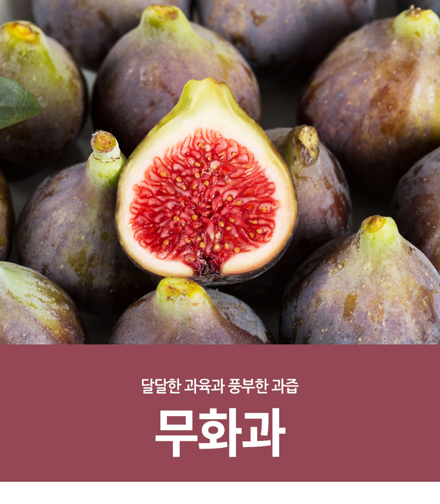 슬슬 디저트에 많이 오를 예정인 녀석..JPG | 인스티즈