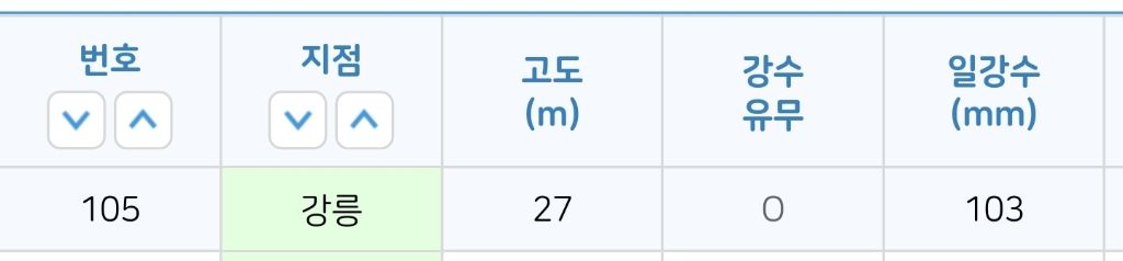 비 100mm 내린 강릉 근황 | 인스티즈