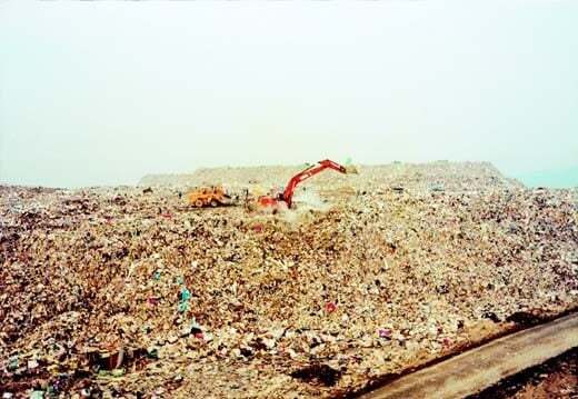 최근 서울에 온 사람들은 모른다는 서울 난지도 공원 예전 모습 | 인스티즈