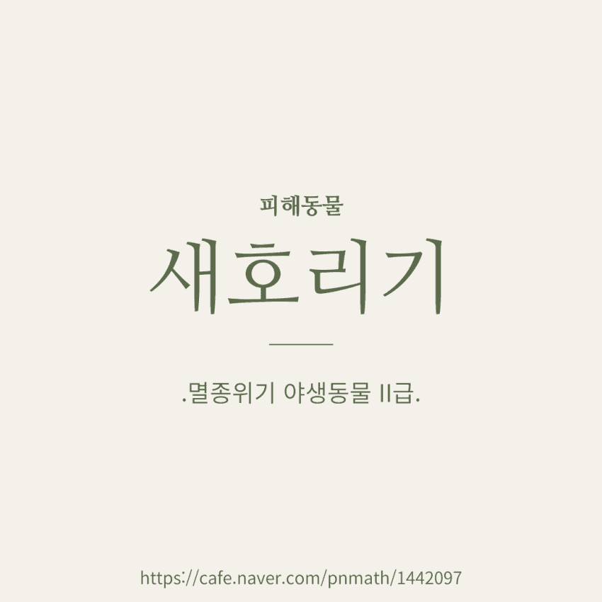저는 장난감이 아니에요.jpg | 인스티즈