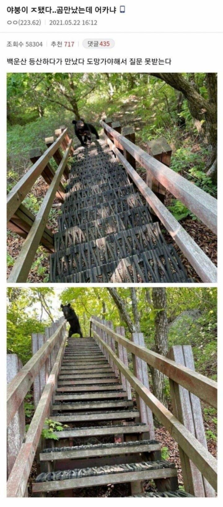 야붕이 실시간 x된 모음집 | 인스티즈