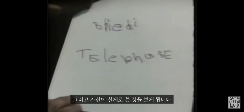 (스압)분리 뇌 실험 | 인스티즈