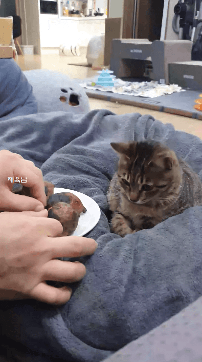 뜨거운걸 만졌을 땐 귀를 잡자.gif | 인스티즈