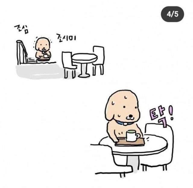 커피숍에서 커피 쟁반으로 옮길 때 드는 생각 | 인스티즈