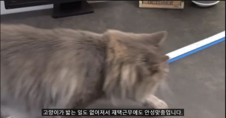 스압) 구글에서 만든 키보드.jpg | 인스티즈