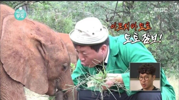 도토 이미지