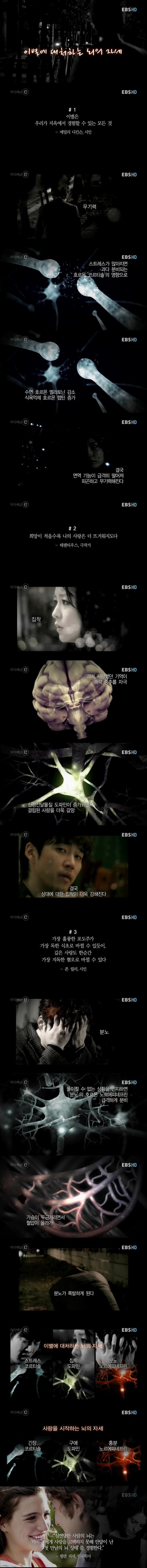 이별하면 불면증과 식욕부진에 걸리는 이유 | 인스티즈