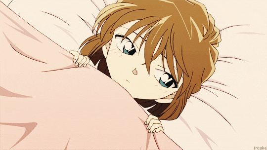 명탐정 코난 란 vs 하이바라 진 히로인은? | 인스티즈