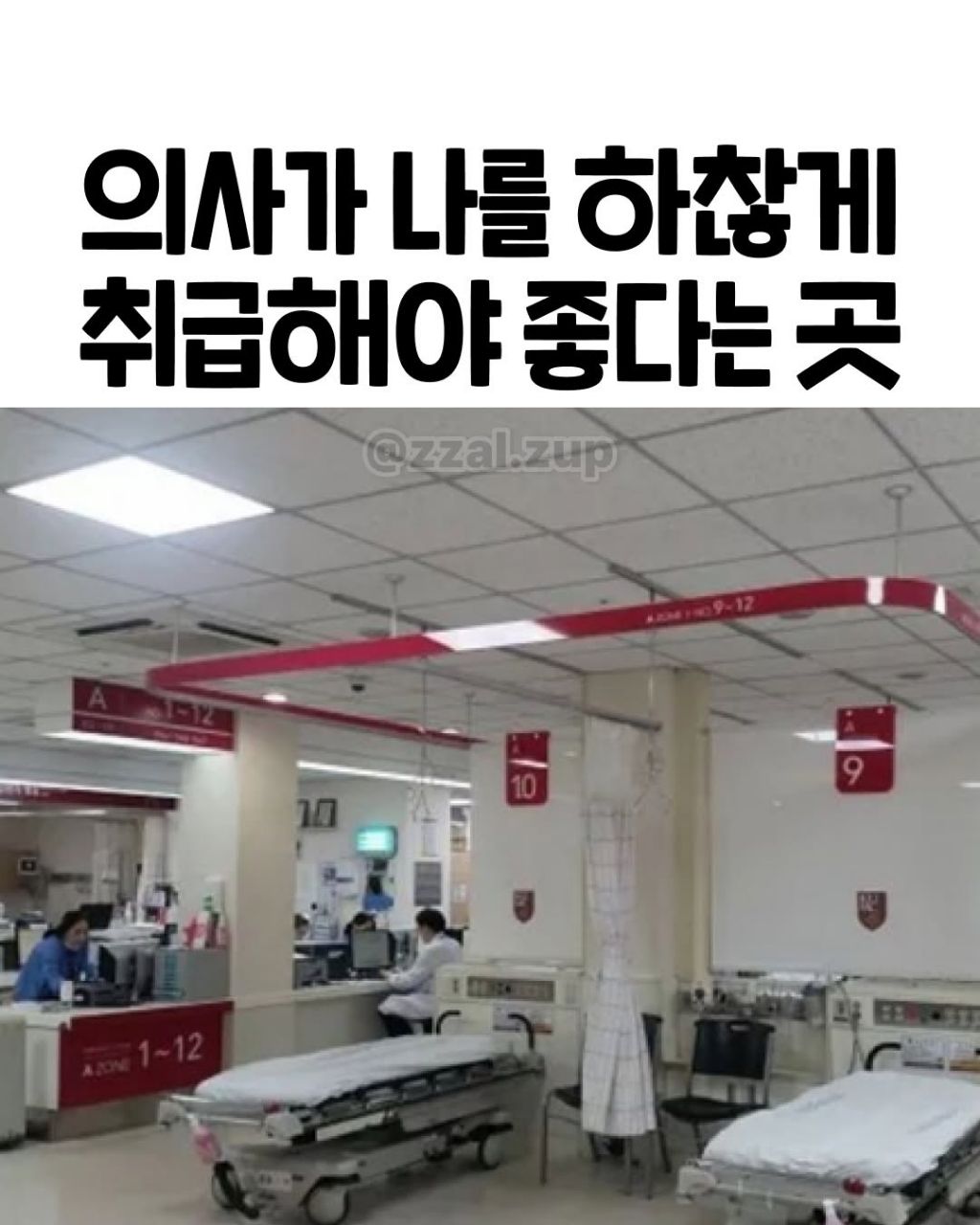 의사가 나를 하찮게 취급해야 좋다는곳 | 인스티즈