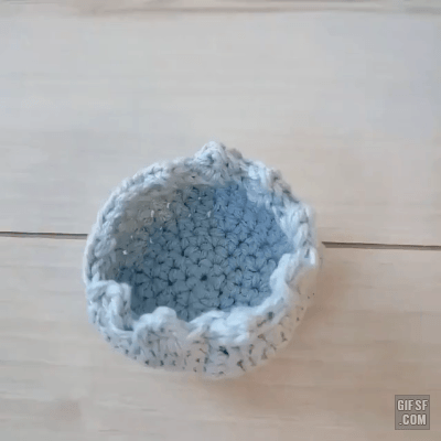 햄스터 포장하는 방법.gif | 인스티즈