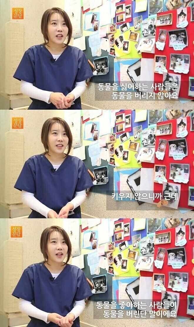 동물을 버리는 사람들 | 인스티즈