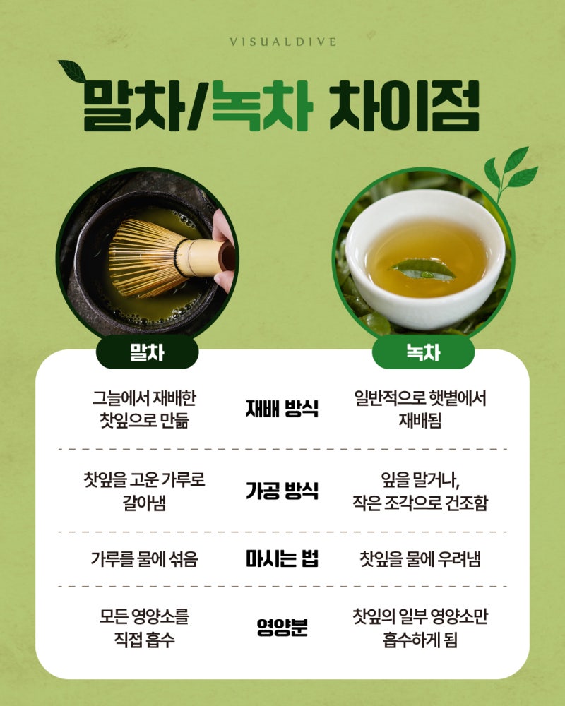 말차 녹차 차이점 | 인스티즈