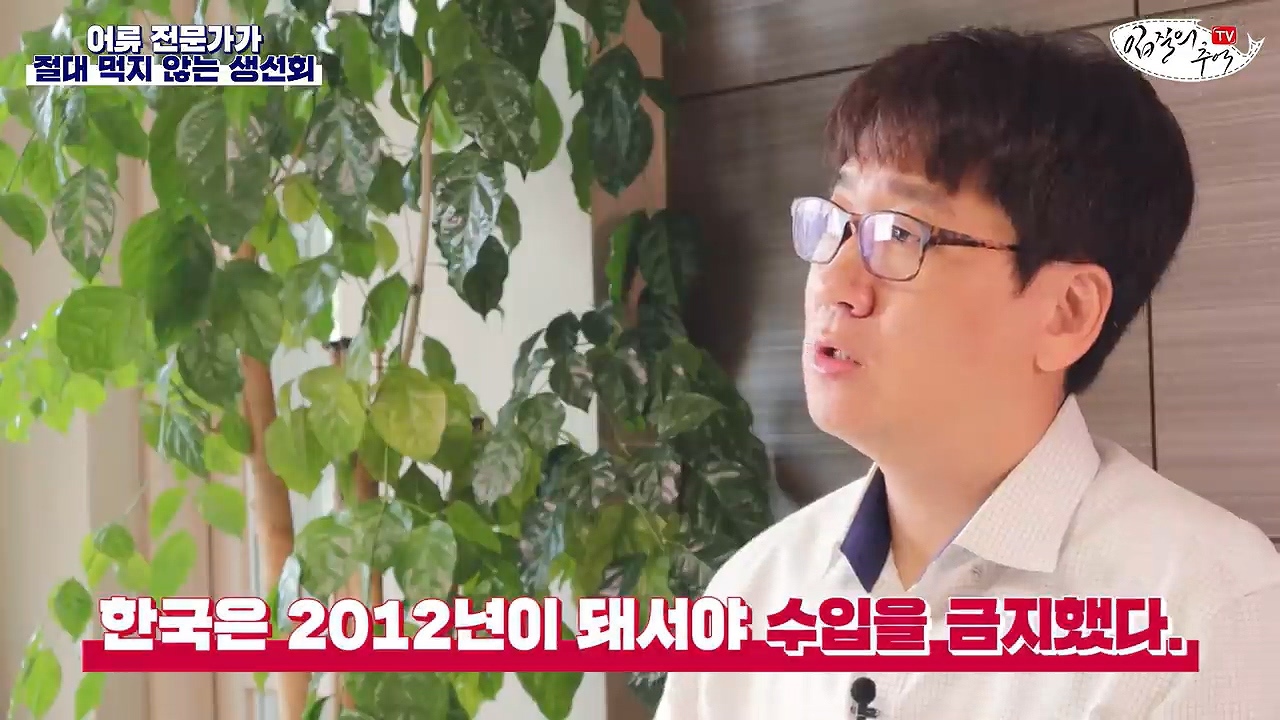어류 전문가가 꼽은 절대 먹지 않는 생선회 7개 | 인스티즈