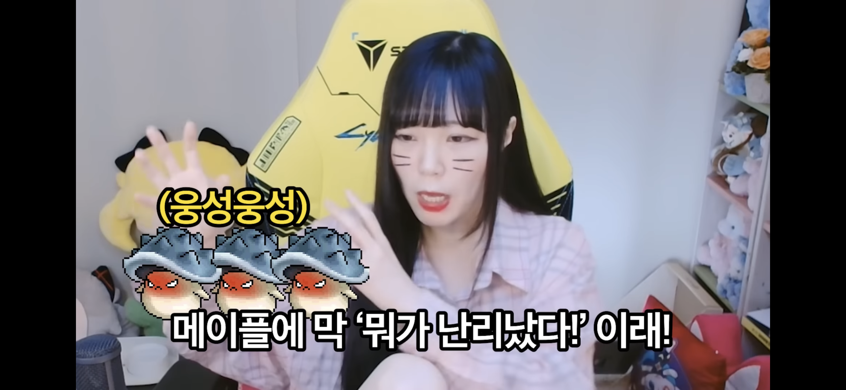 서새봄이 보는 메이플스토리 | 인스티즈